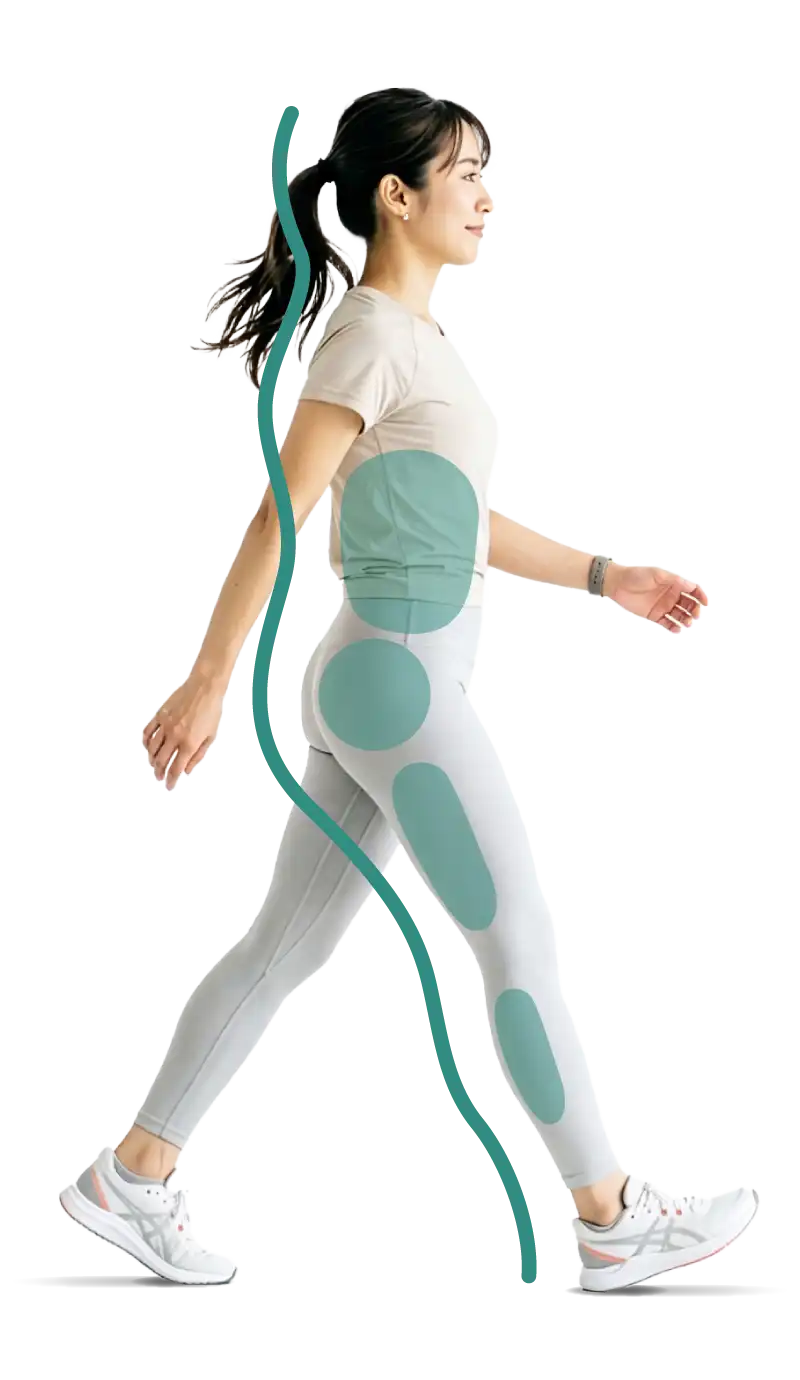 歩行中の筋活動部位のイメージ